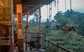 Hostal Tree House