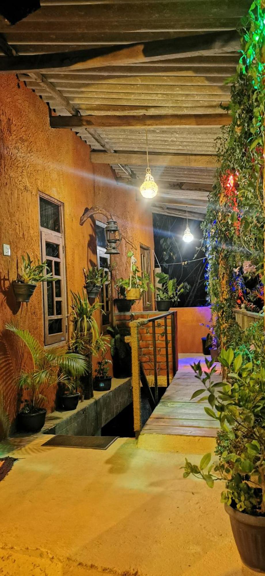 Hostal Tree House エッラ エクステリア 写真