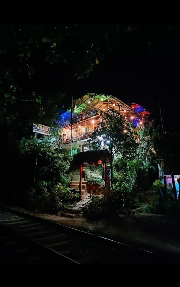 Hostal Tree House エッラ エクステリア 写真
