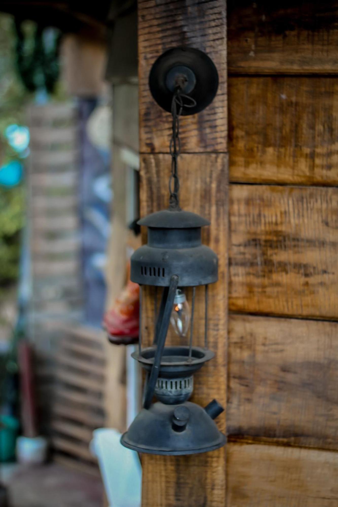 Hostal Tree House エッラ エクステリア 写真