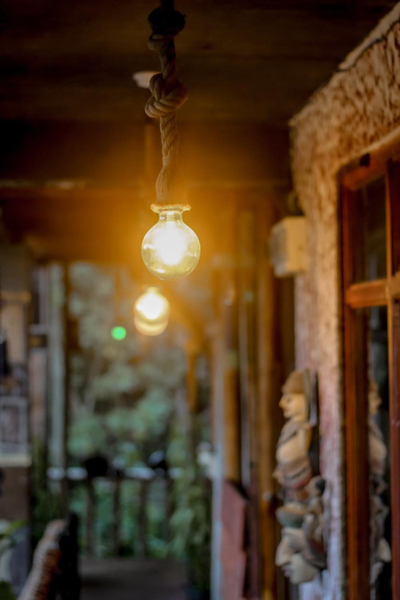 Hostal Tree House エッラ エクステリア 写真