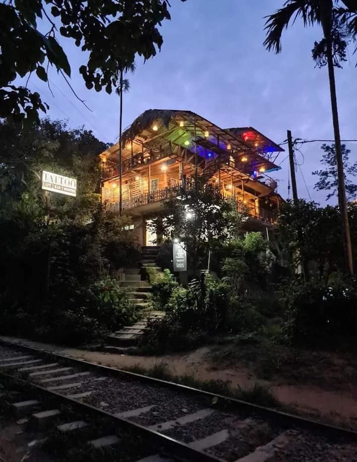 Hostal Tree House エッラ エクステリア 写真