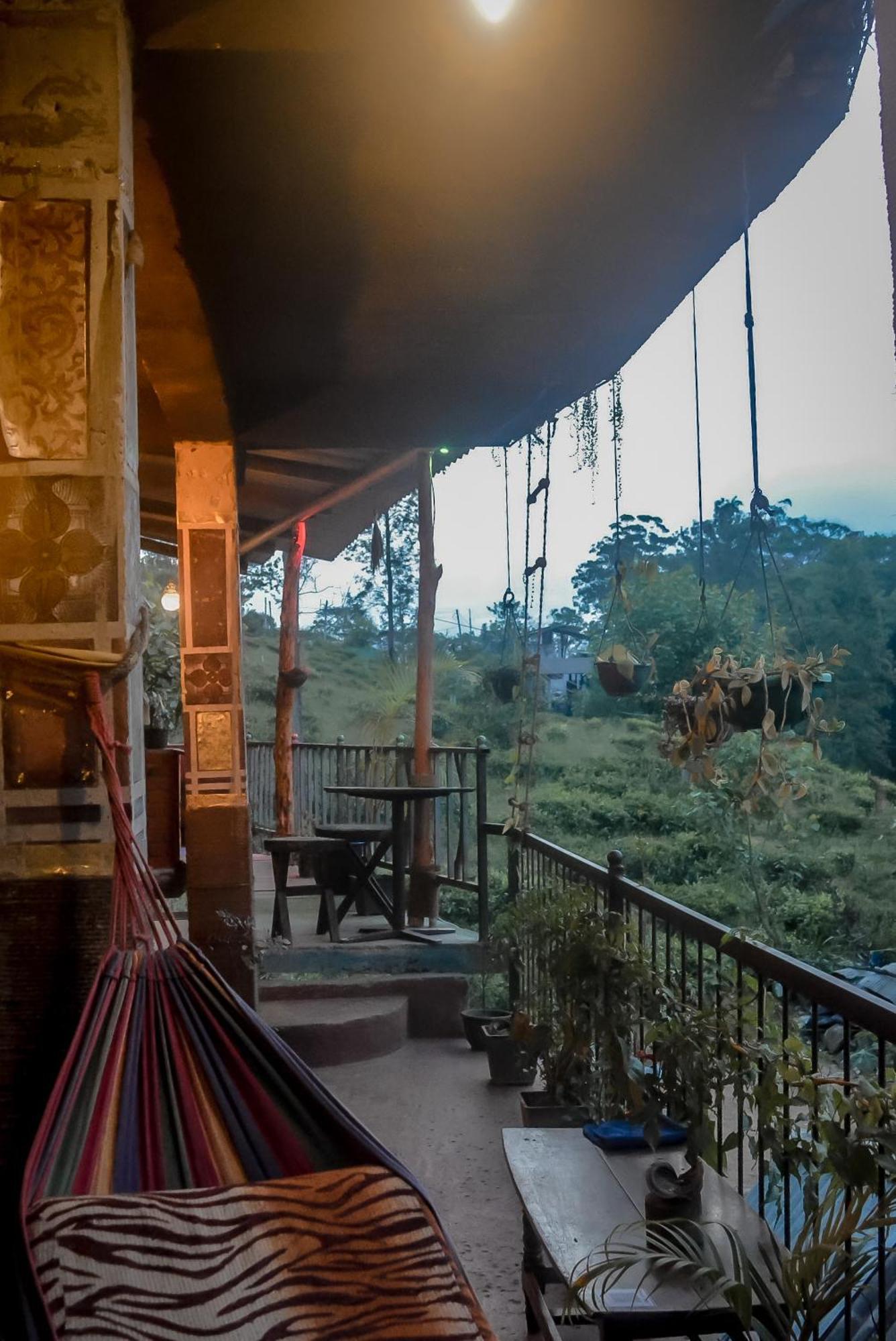 Hostal Tree House エッラ エクステリア 写真
