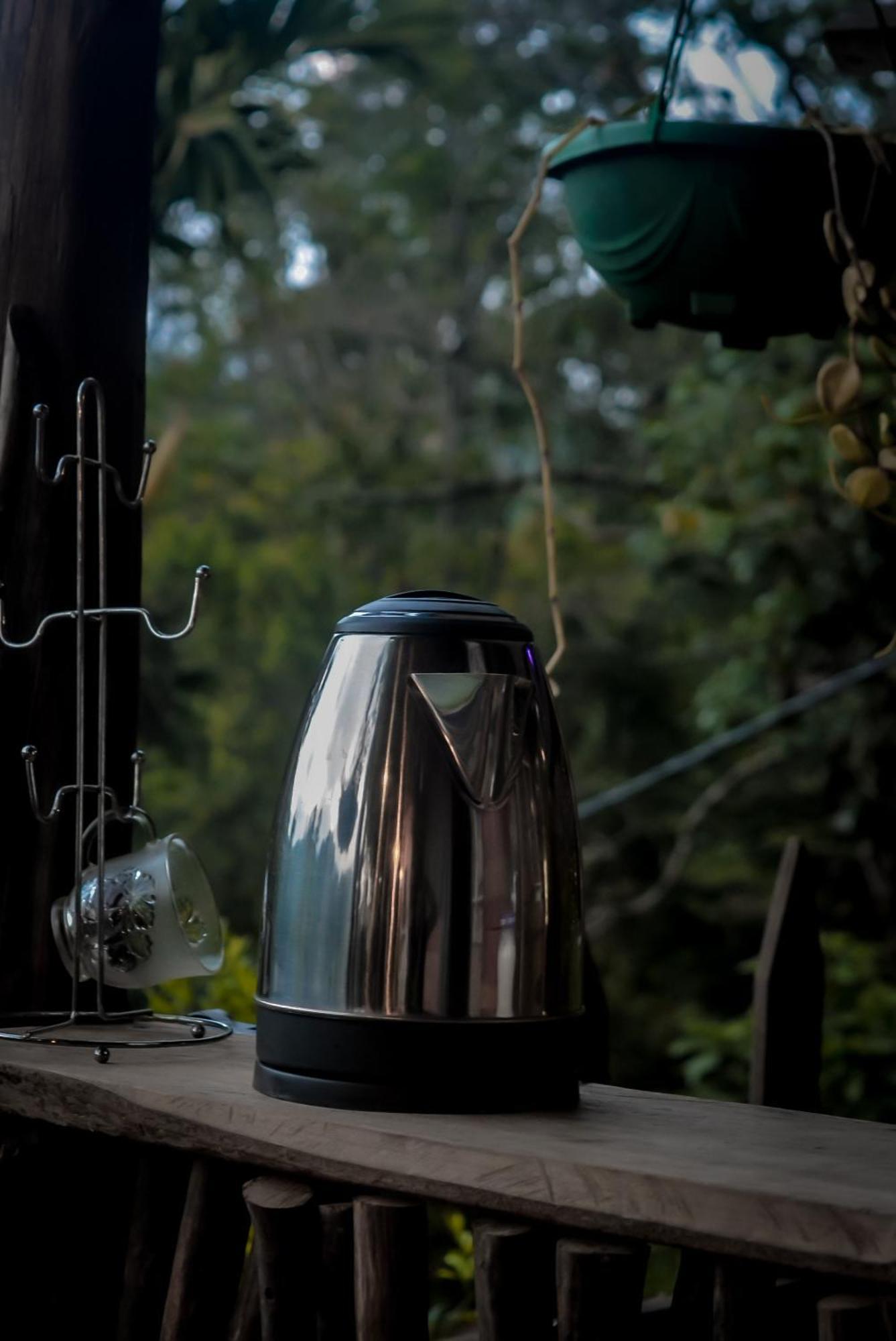 Hostal Tree House エッラ エクステリア 写真