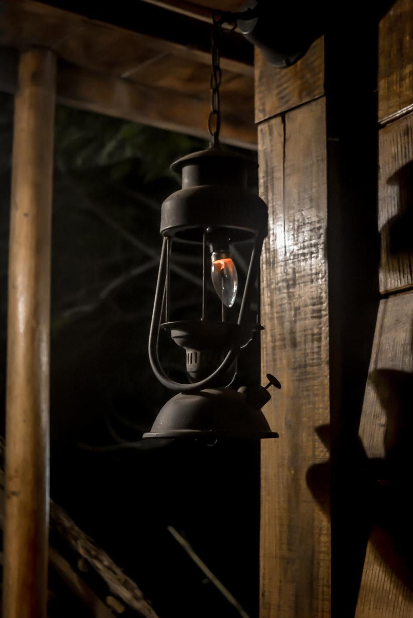 Hostal Tree House エッラ エクステリア 写真
