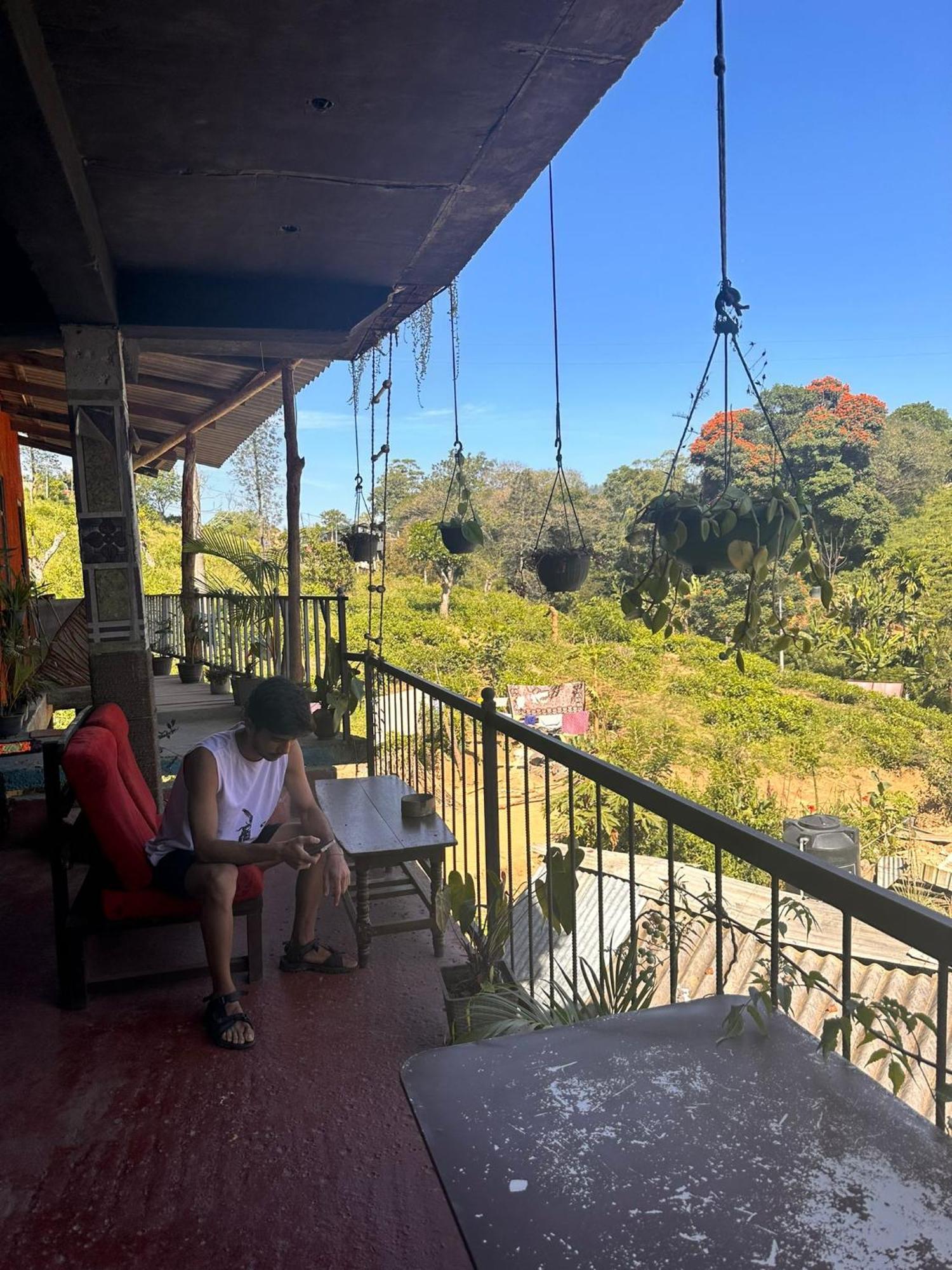 Hostal Tree House エッラ エクステリア 写真