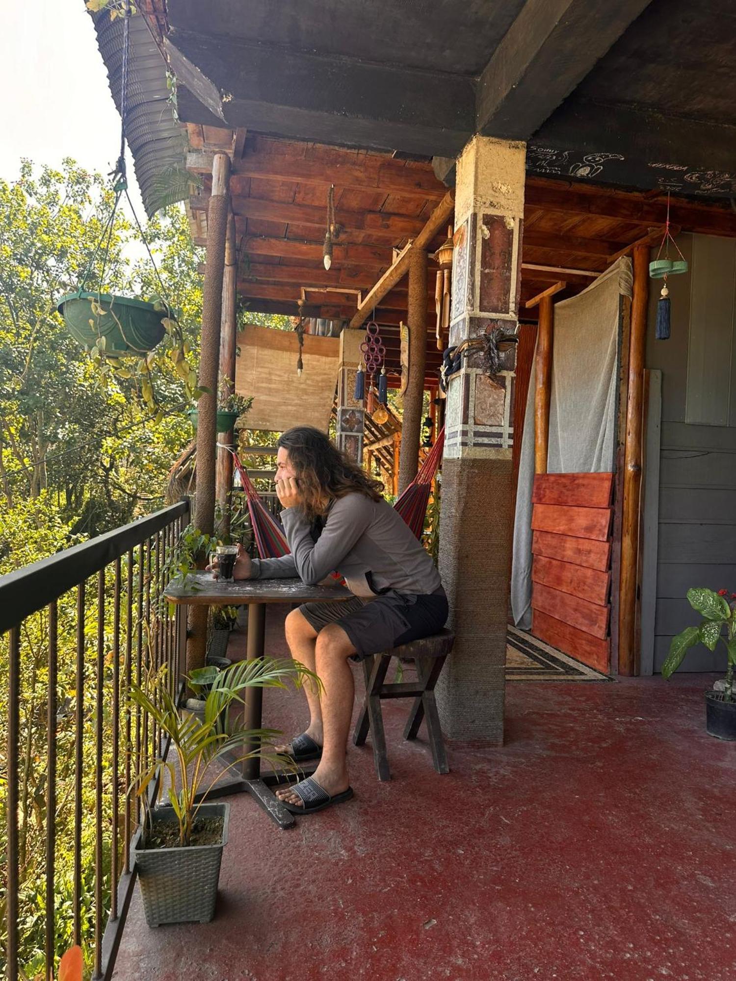 Hostal Tree House エッラ エクステリア 写真